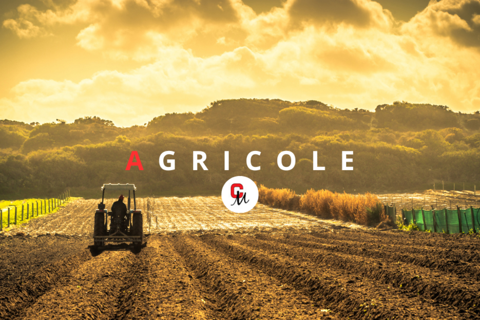 Agricole Agricole