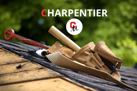 Rparateur verin hydraulique Charpentiers Haute-Savoie
